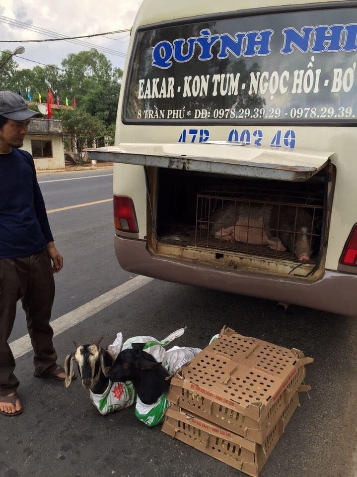 vận chuyển hàng hóa